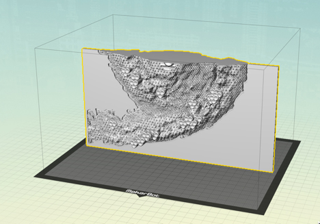 NGC1566 on Makerbot5 stage