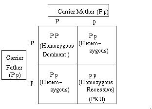 Dominant Recessive Chart