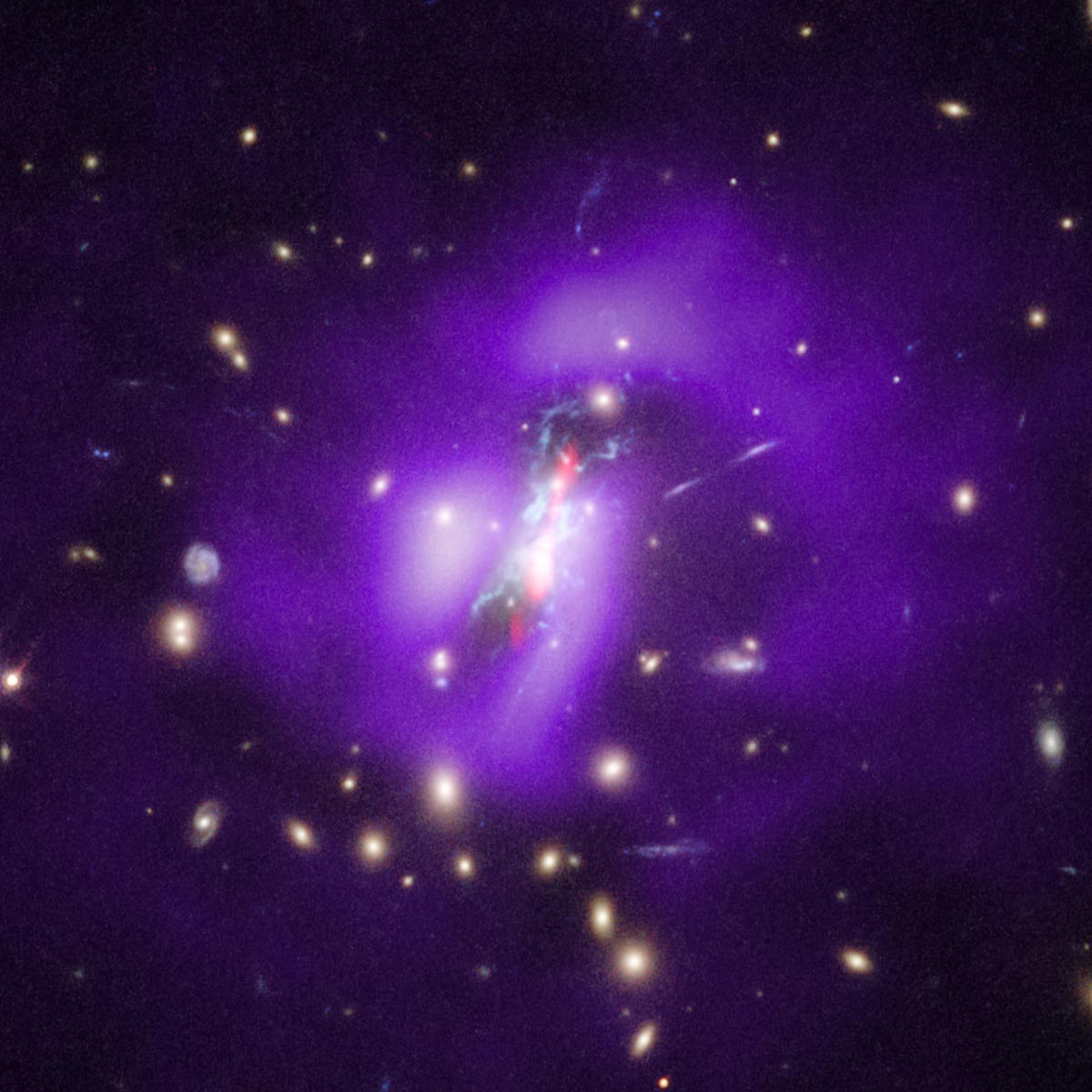 Phoenix Galaxy Cluster