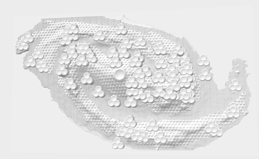 NGC1300 3Dprint