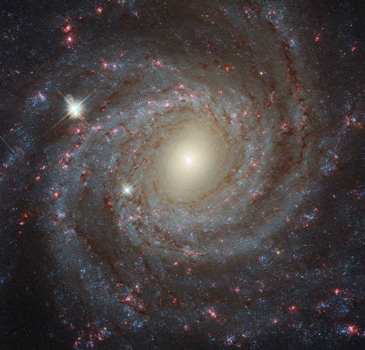 NGC3344