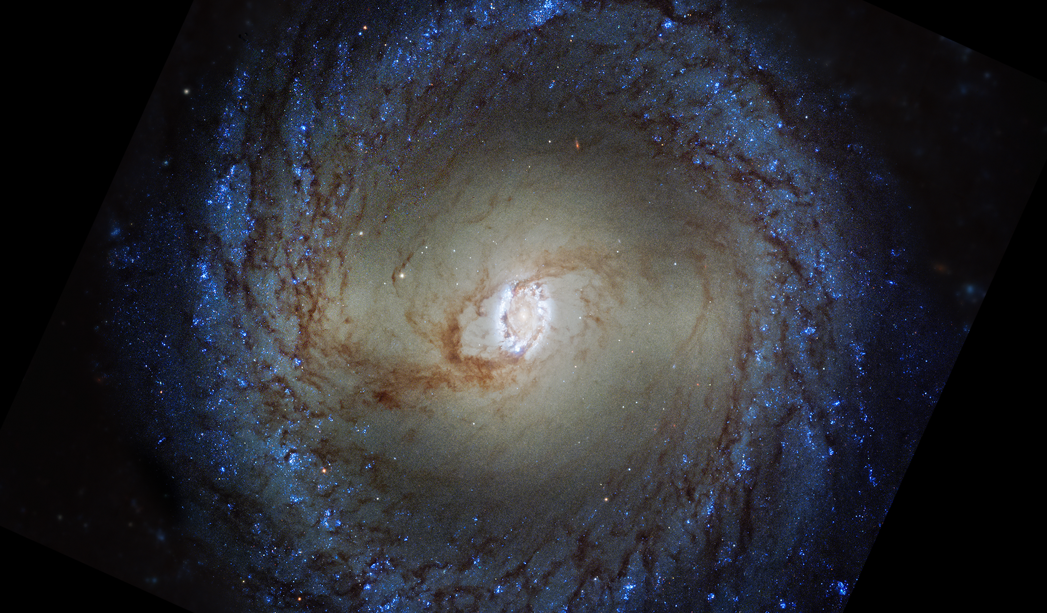 NGC3351 HST image