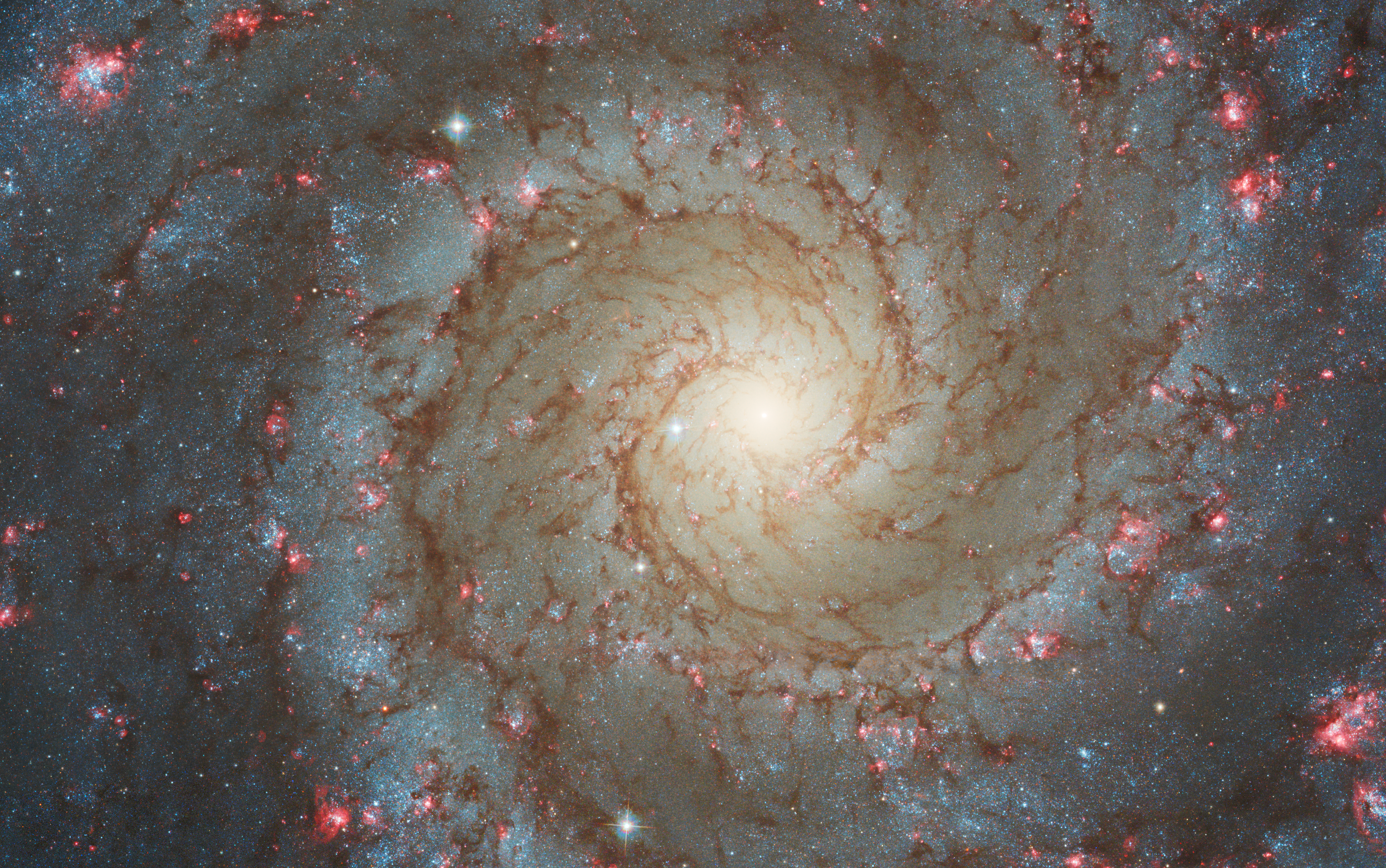 NGC628 HST image