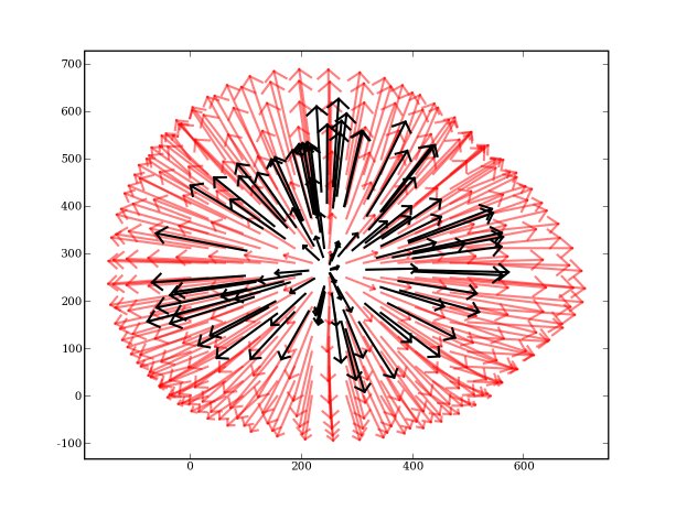curl-free vector interpolation