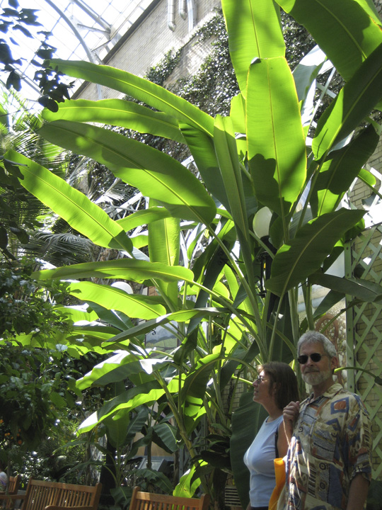 Arboratum_3840