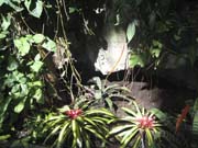 Arboratum_3846