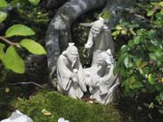 Bansai_3854
