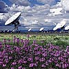 Image of VLA